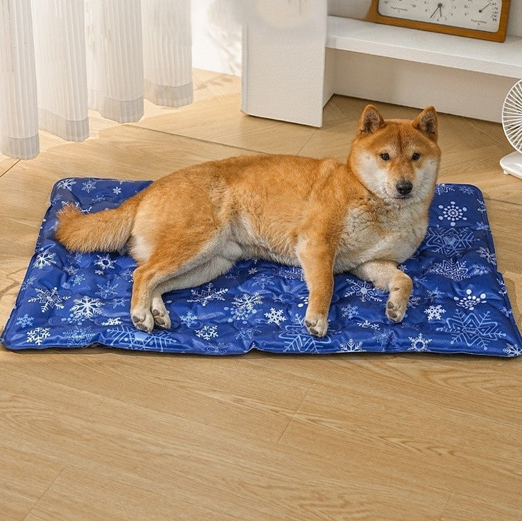 toutou sur tapis rafraichissant chien imperméable