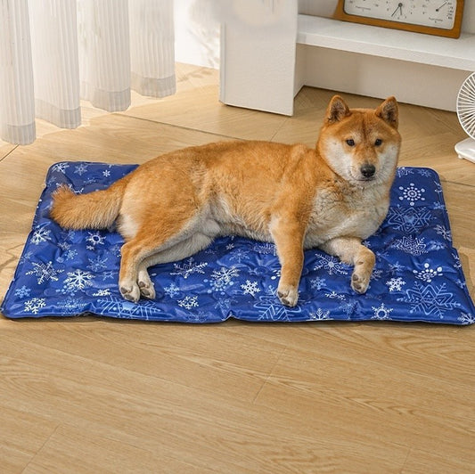 toutou sur tapis rafraichissant chien imperméable