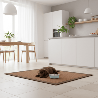 toutou sur tapis rafraichissant dans la cuisine