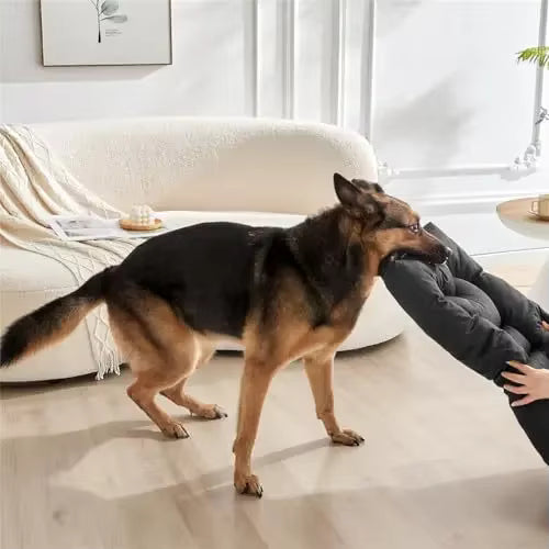 toutou tire sur coussin indestructibles pour chien durable