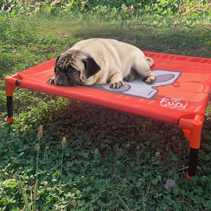 LIT DE CAMP CHIEN | Surélevé Ventilé