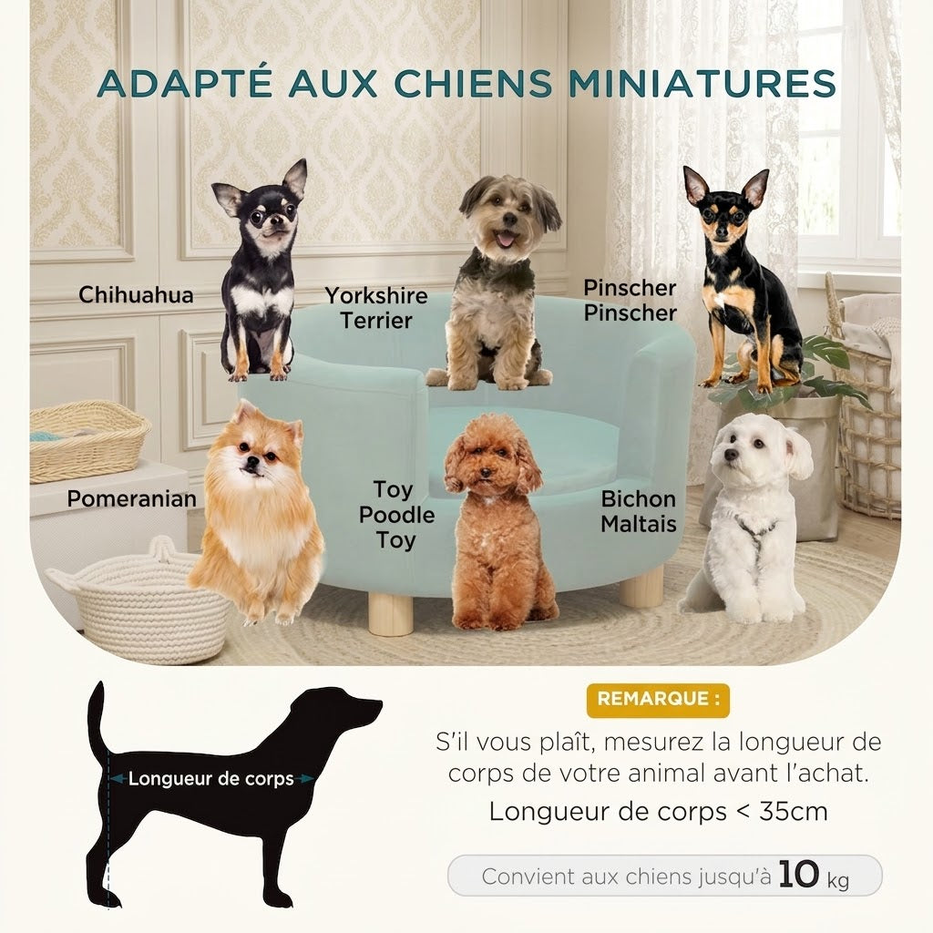 toutous adapter pour le canape luxe pour chien
