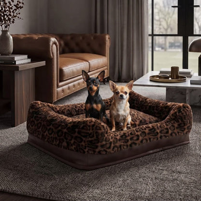 toutous assis dans fauteuils pour chiens de léopard de luxe