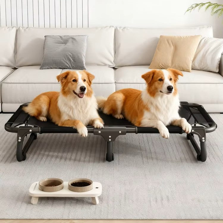 toutous assis dans lit de camp pour chien XL