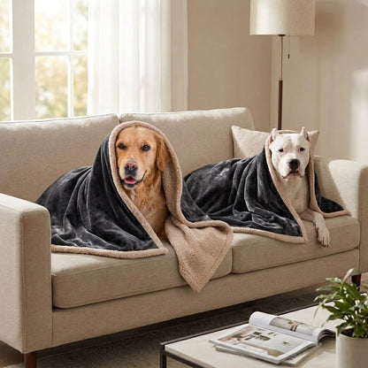 toutous couvert par couverture imperméable lavable