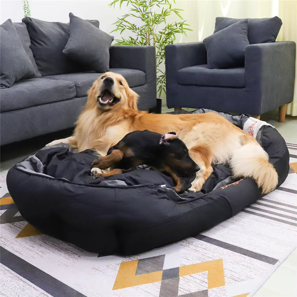 toutous détendu dans panier chien XXL