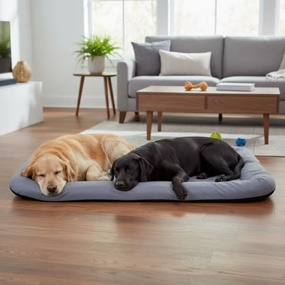 toutous détendu sur coussin imperméable pour chien