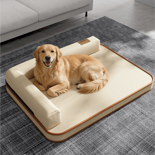 toutous dans canape chien dans salon