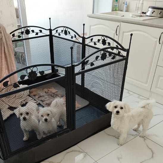 toutous  dans grand parc pour chien noir