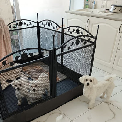 toutous  dans grand parc pour chien noir