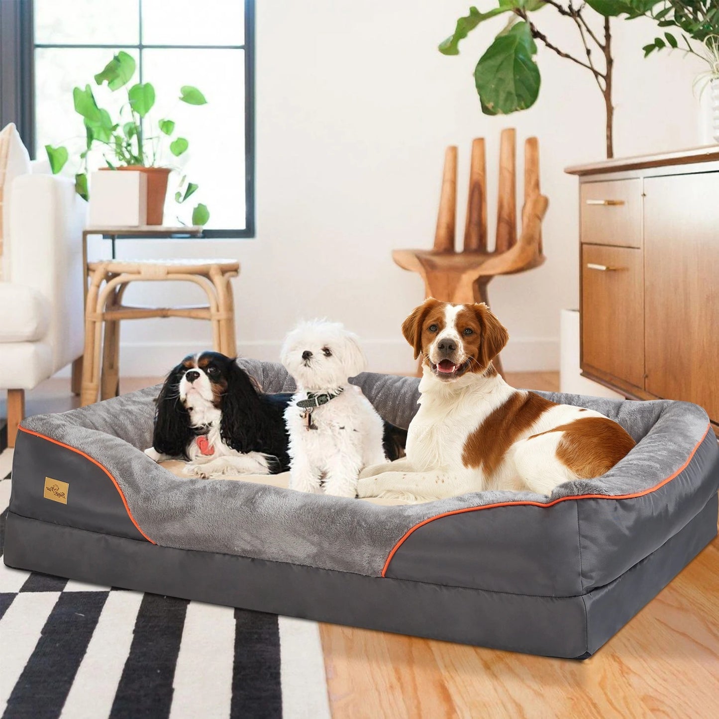 trois chiens dans même lit pour chien orthopédique, confortablement 