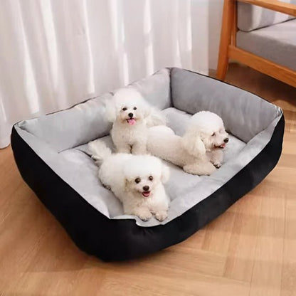 trois chiens dans panier pour chien